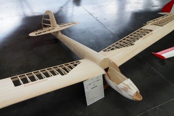 Minimoa