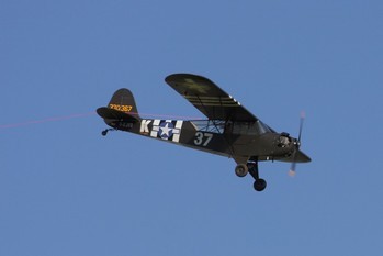 Piper