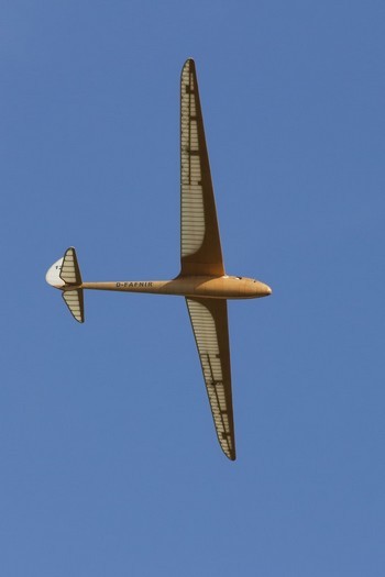 Fanir