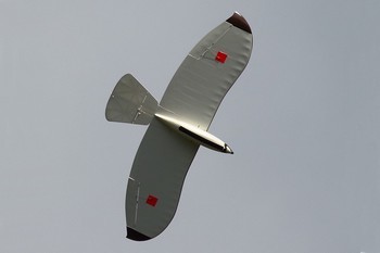 Falke