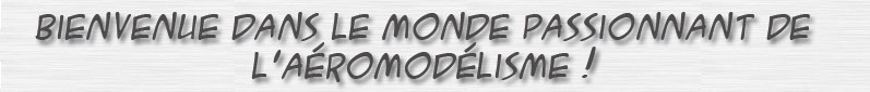 Bienvenue dans le monde passionnat de l'aéromodélisme
