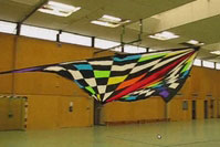 Hawaiian delta kite by Crazyplanes.de