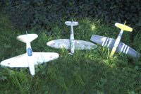 Micro-chasseurs électriques
