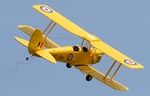 Tiger Moth Art Tech