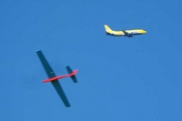 Wasabi et airliner