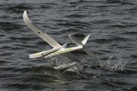 Dream Surfer