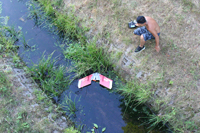 Zorro sur l'eau...