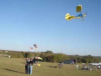 Pou du Ciel