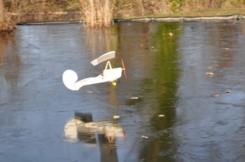 Pou du Ciel