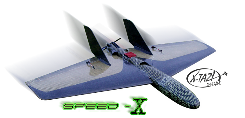 Speed-X de Pierrick Ubassy