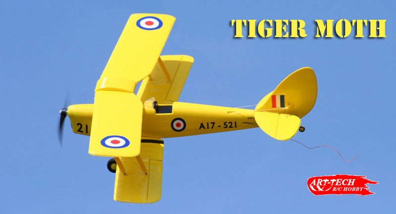 Micro Tiger Moth Art Tech