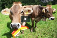 Crazy Horst - Suisse Part 1