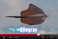 Stingray de Lutz Naekel en vidéo