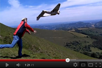 Wingsuiter RC