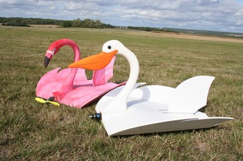 Pélifun et Flamingo en Vector